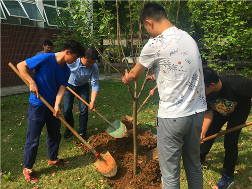 亲手载下的每一颗树都是毕业后回校的动力.jpg